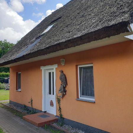 Buhne II Og Appartement Wieck Buitenkant foto
